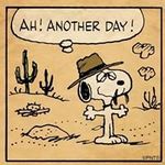 Doc Adams - @docadamz_ - Instagram