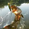 Austin Docken - @austindocken4242 - TikTok