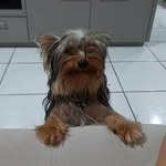 doc bone - @doc_bone_lucena - Instagram