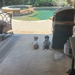 @doc.boyd14 - Instagram