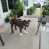 carrdoc67 - @carrdoc67 - TikTok