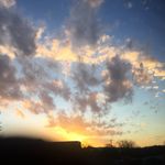 Andrew's photography account - @docflowersphotography - Instagram