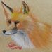 Doc Fox Art - Facebook