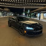 @fox_doc_ - Instagram