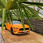 Sebastien Foulon - @docfox - Instagram