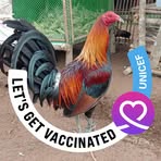 Doc Robinson Gilmore - Facebook