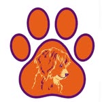 Doc Gordon - @all4pawsvetclinic - Instagram