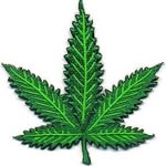Doc Green - @drfiveleaf - Instagram