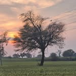 Farming Green - @doc._green - Instagram