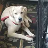 Liz Hansen - @doclizhansen - TikTok