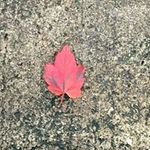 Doc Howard - @howard_doc - Instagram
