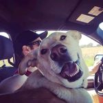 Doc kelley - @kelley.doc - Instagram