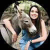rescue dockeys - @rescue.dockeys - TikTok