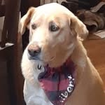 Doc Kimball - @doc.kimball.73 - Instagram