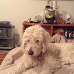 Doc Lindsey - @doc_lindsey - Instagram