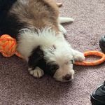 Logan Docherty - @logan_doc - Instagram