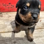 Doc Scott - Facebook