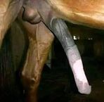 Wadde Dick - Facebook