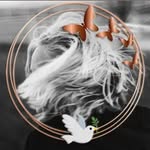 Colleen Cradock-Williams - @colleencradockwilliams - Instagram
