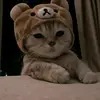 23 - @dohamalekbrahiti - TikTok