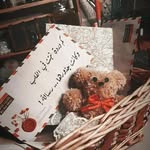 Doha Malek Okasha - @dohamalekokasha - Instagram