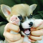 Dokyun  Kim - @ponytail_one - Instagram
