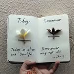 Dolly Ward - @dolly.ward - Instagram