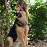 😊🖤Dolly and Bruno 💝 - @best_dog_0821 - Instagram