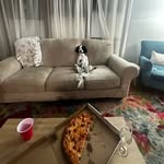 @dollywabashcannonball - Instagram