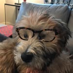 Dolly Carter - @dollycarter143 - Instagram