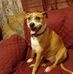 Dolly Carter - Facebook