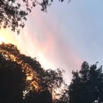 Dolly Carter - @dollycarter47 - Instagram