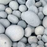 Dolly Cobbles - @dolly.cobbles - Instagram