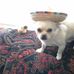 Dolly Cole - Facebook