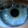 Dolly - @dolly.curtis.3 - TikTok