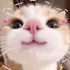 ~~🌸🌸~~ - @dollydeals1 - TikTok