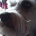 Dolly Dempsey - Facebook