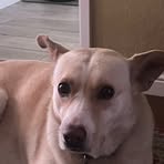 Dolly Duncan - Facebook