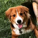 Duncan Dolly Parton - @duncandollyparton - Instagram