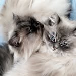 Duncan&Dolly - @duncananddolly - Instagram