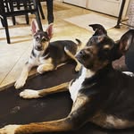 Minucci Girls - @phoebe_dolly_duncan - Instagram