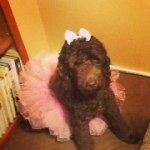 Dollygates - @dollygates - Instagram