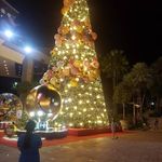 Dolly Grover - @groverdolly1912 - Instagram