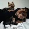 Dolly Klein Gotink - @dollykleingotink - TikTok