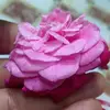 Dolly Kumari - @dollykumari595 - TikTok