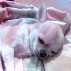Dolly Kuo - Facebook