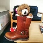 Dolly Long - @dolly.long - Instagram