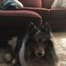 Dolly Manning - Facebook