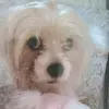 dollymartinez345 - @dollymartinez345 - TikTok