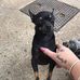 Dolly Owen - Facebook